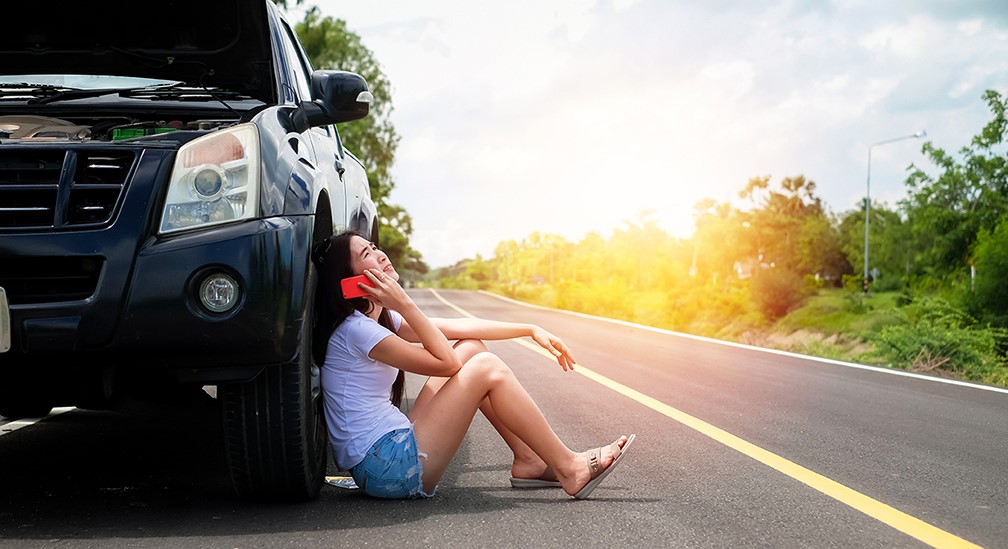 Basic Auto Membership