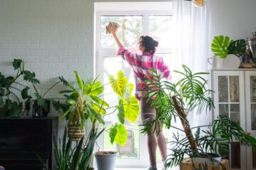 Easy Summer Cleaning Suggestions to Keep Your Apartment Feeling Fresh